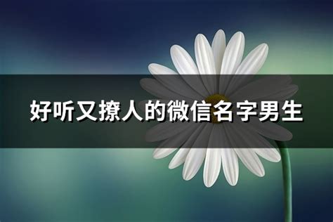 微信起名|2050个简单好听的微信名网名,高雅不俗昵称（41